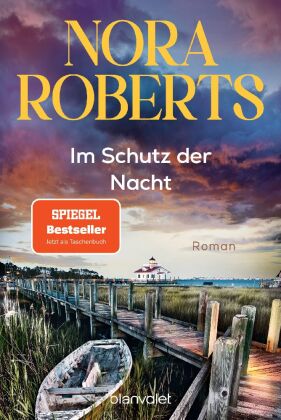 Im Schutz der Nacht