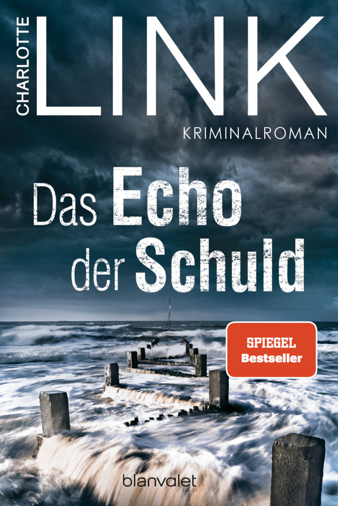 Das Echo der Schuld main product photo