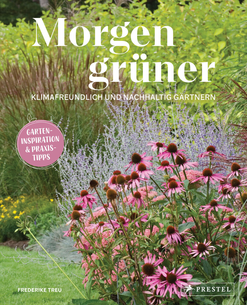 Morgen grüner main product photo