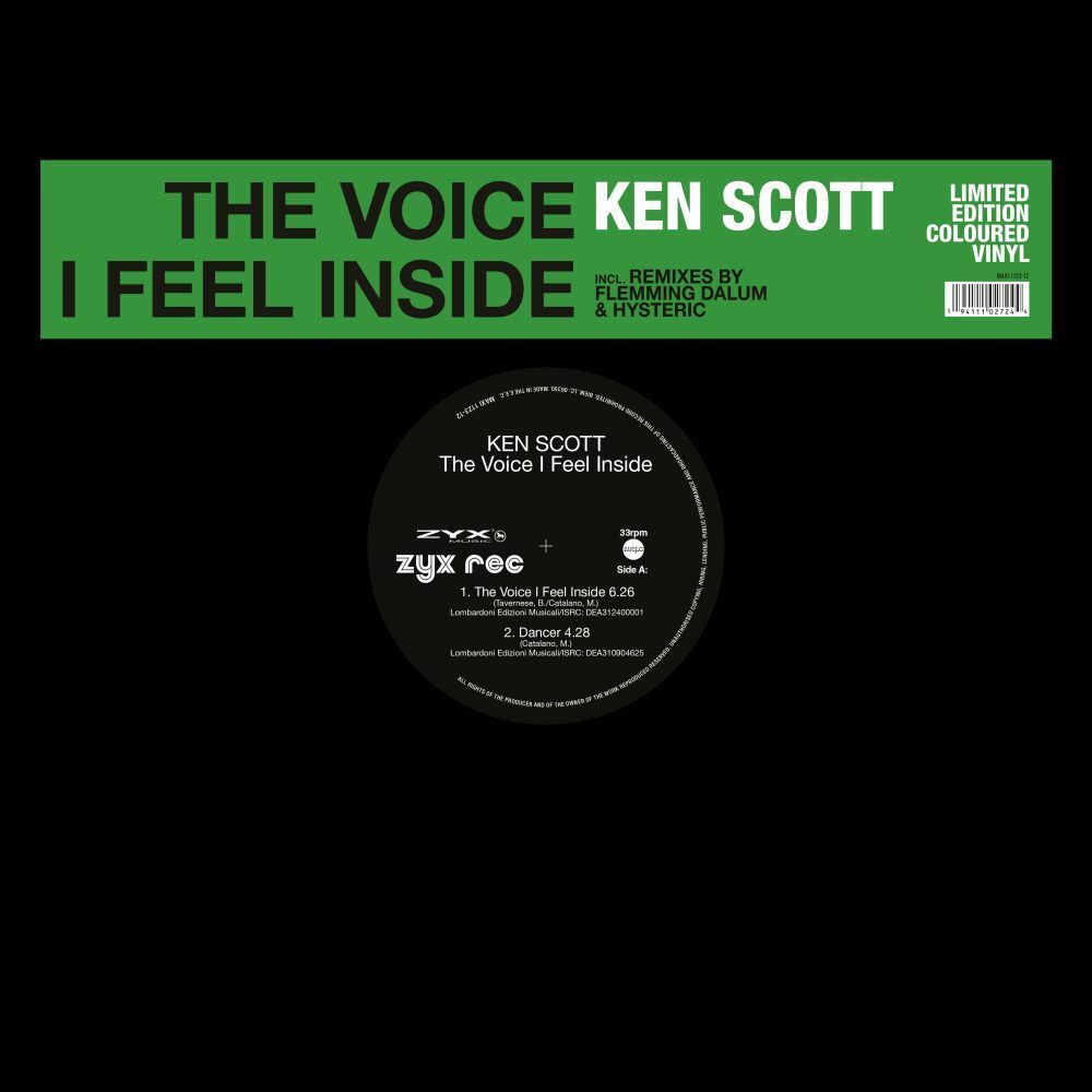 The Voice I Feel Inside, 1 Schallplatte (Maxi Vinyl) main product photo
