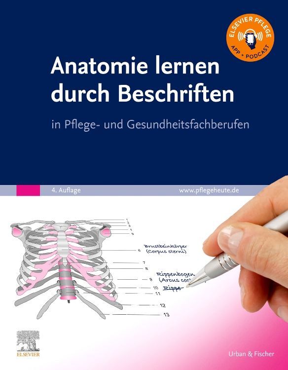 Anatomie lernen durch Beschriften main product photo