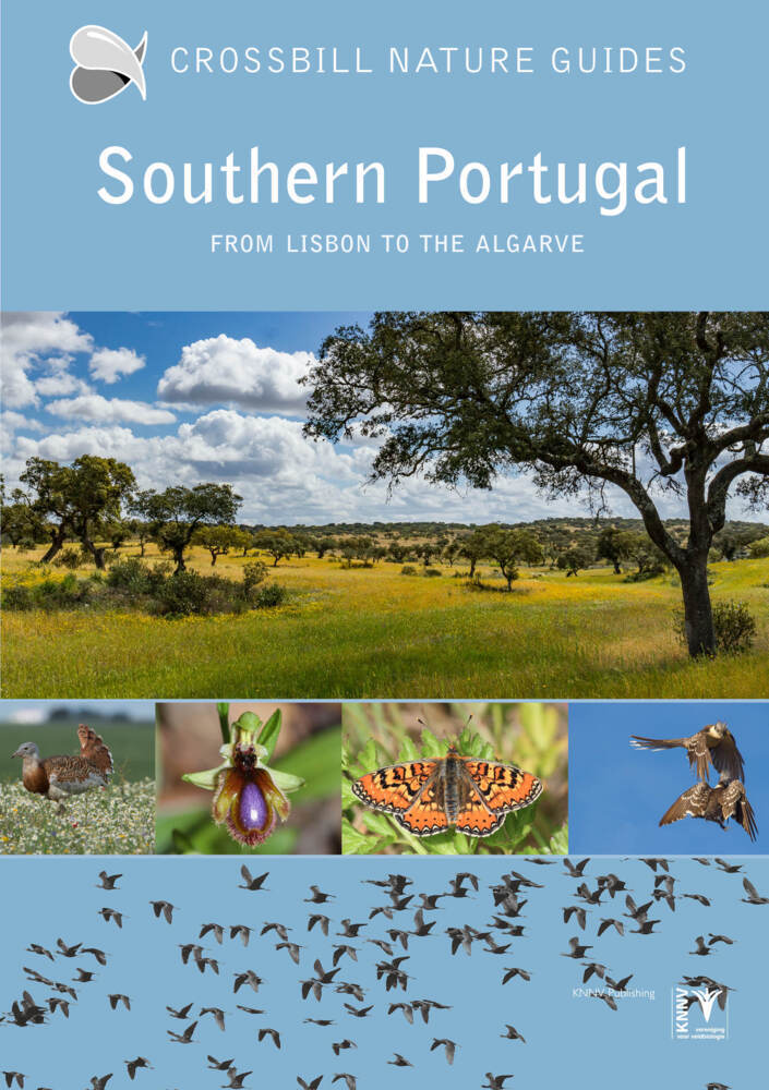 Southern Portugal main product photo