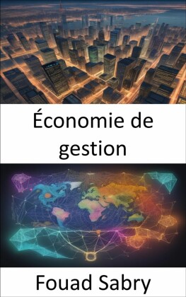 Économie de gestion