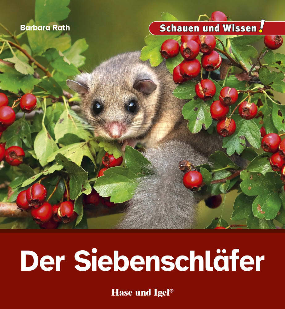 Der Siebenschläfer main product photo