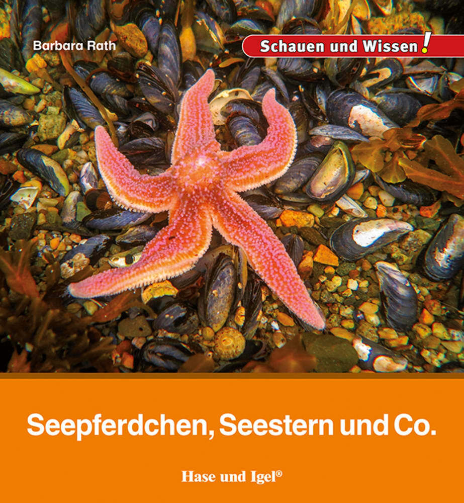 Seepferdchen, Seestern und Co. main product photo