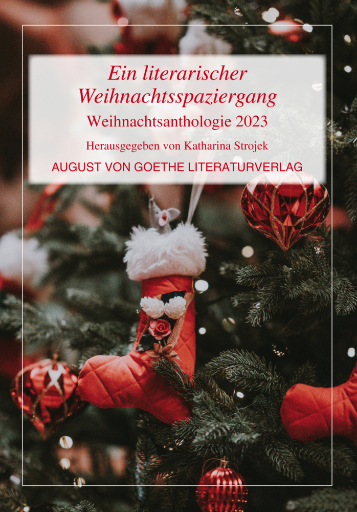 Ein literarischer Weihnachtsspaziergang main product photo