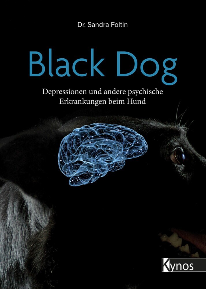 Black Dog main product photo