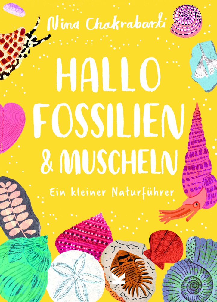 Hallo Fossilien & Muscheln main product photo
