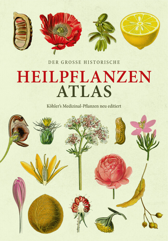 Der große Heilpflanzen-Atlas (Erfolgsausgabe) main product photo