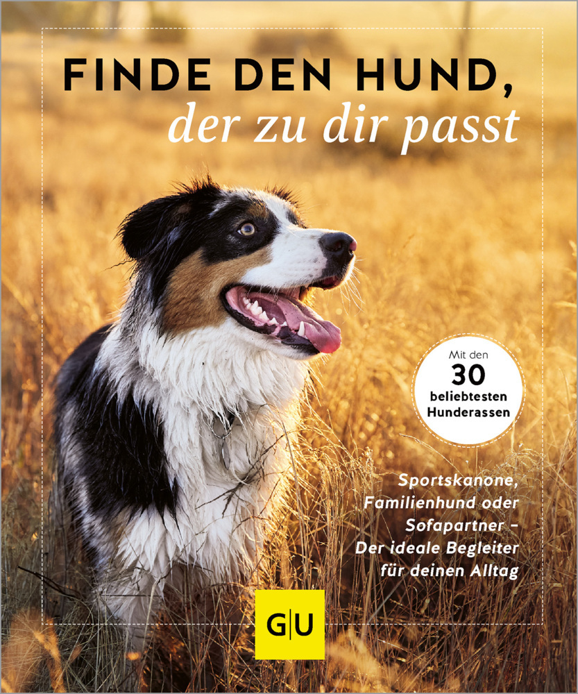 Finde den Hund, der zu dir passt main product photo