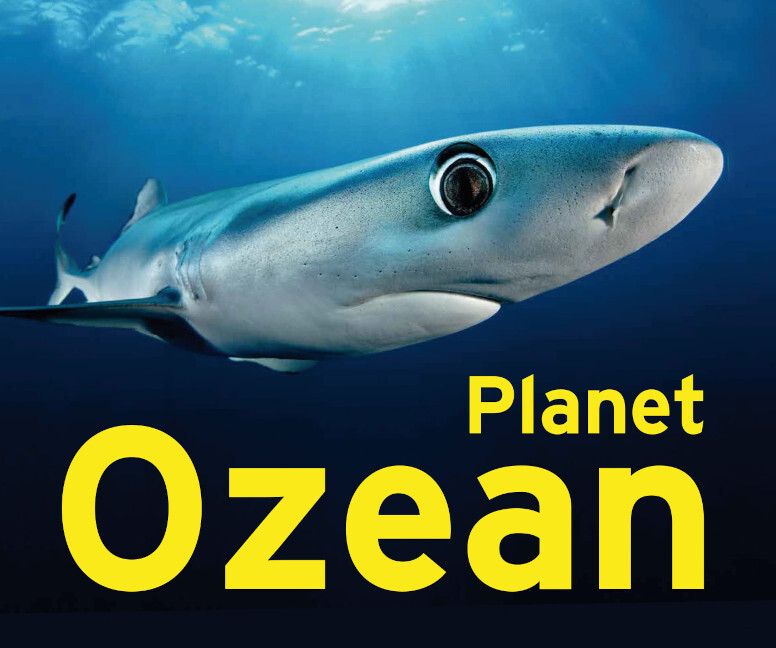 Planet Ozean main product photo