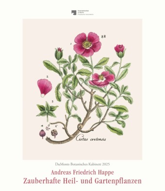 DuMonts Botanisches Kabinett - Zauberhafte Heil- und Gartenpflanzen - Illustriert von F.A. Happe - Kunstkalender 2025 - Wandkalender im Hochformat 34,5 x 40 cm