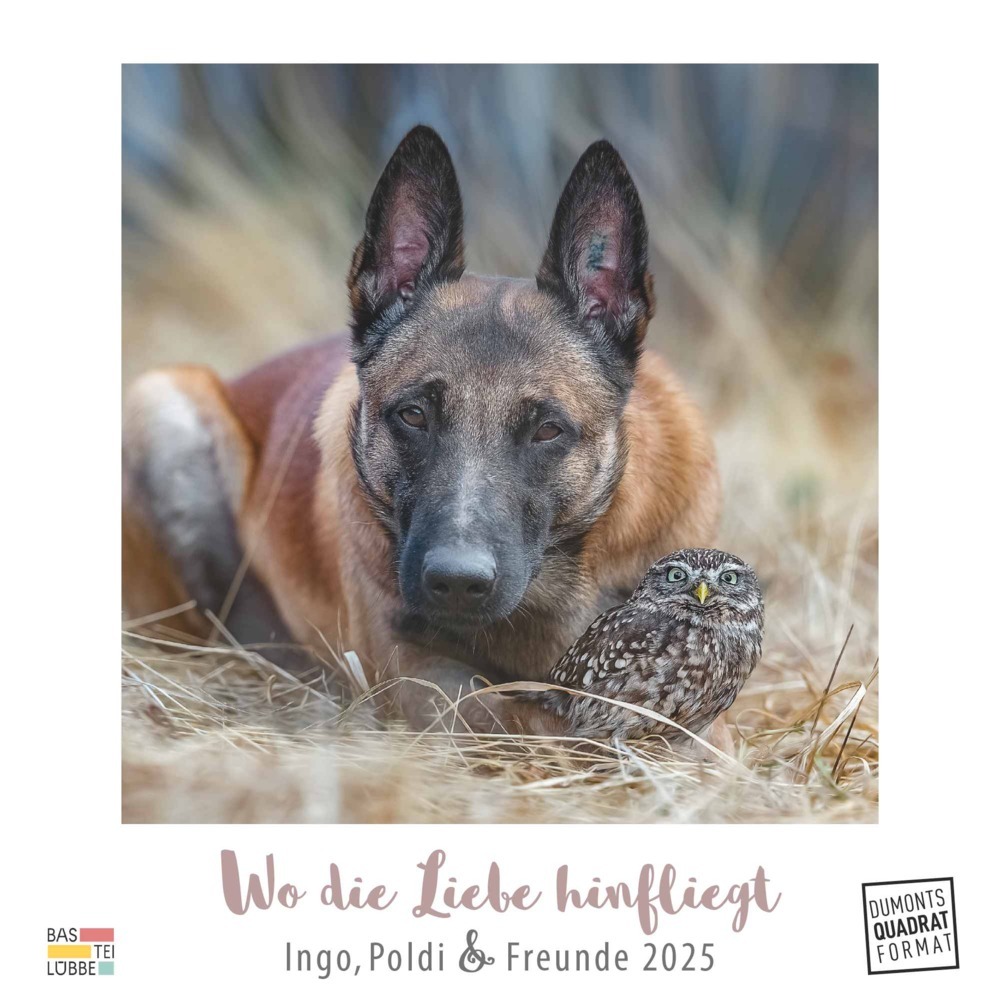 DUMONT - Ingo, Poldi und Freunde: Wo die Liebe hinfliegt 2025 Wandkalender, 23x23cm, Kalender im Quadratformat mit wundervollen Tier-Motiven, deutsches Kalendarium und Spiralbindung main product photo