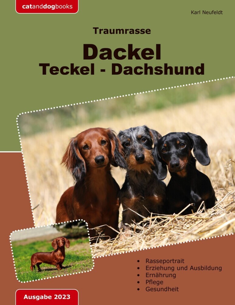 Traumrasse: Dackel Teckel Dachshund main product photo