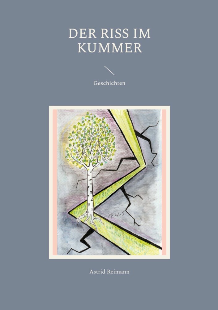 Der Riss im Kummer main product photo