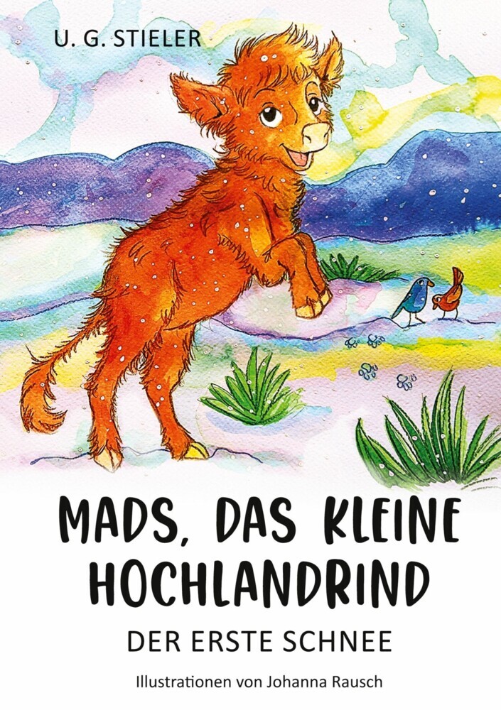 Mads, das kleine Hochlandrind main product photo