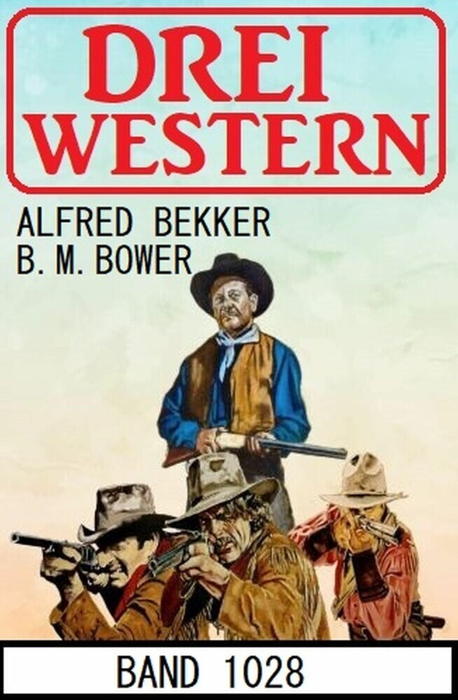 Drei Western Band 1028 main product photo