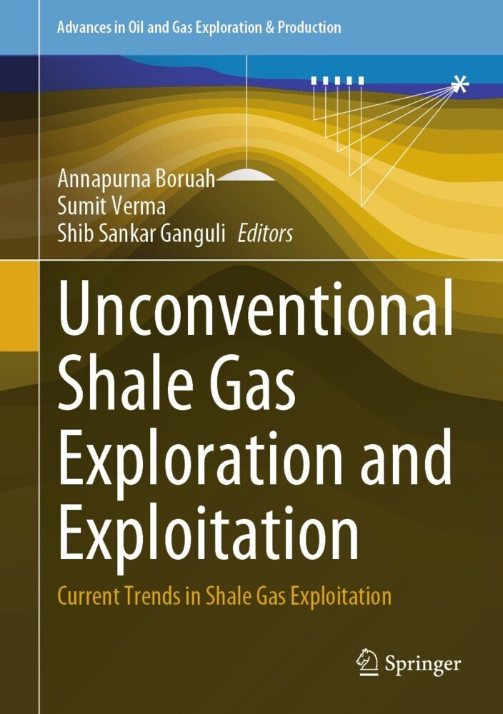 Unconventional Shale Gas Exploration and Exploitation main product photo