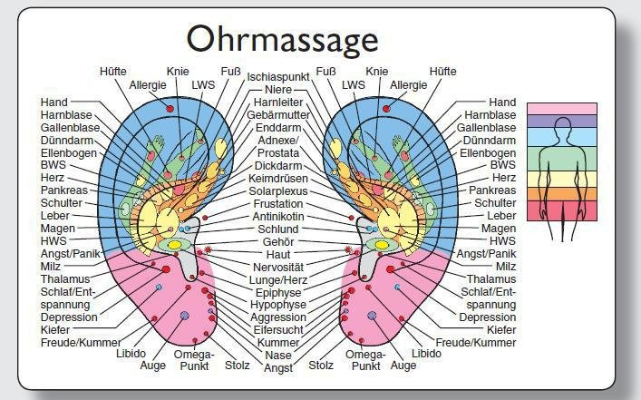 Reflexzonenmassagekarte "Ohr" main product photo