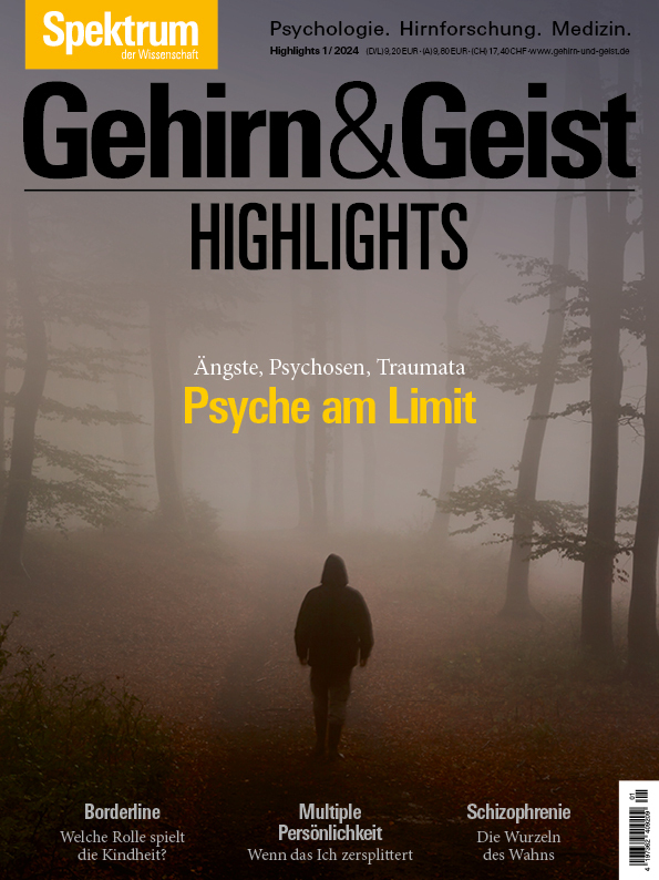 Gehirn&Geist Dossier - Psyche am Limit main product photo