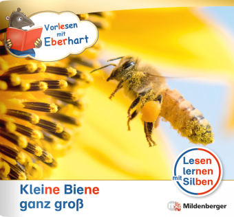 Vorlesen mit Eberhart - Kleine Biene ganz groß - Nachbezug Einzelheft