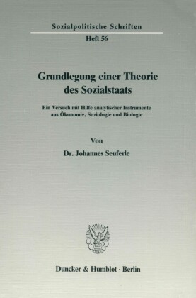 Grundlegung einer Theorie des Sozialstaats.