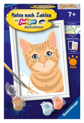 Niedliche Katze