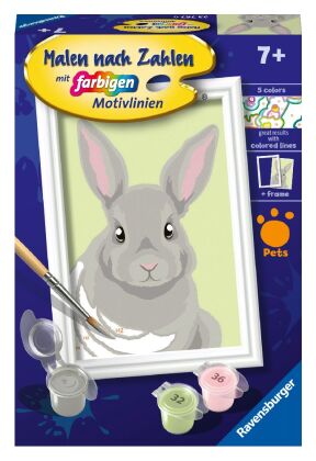 Niedliches Kaninchen