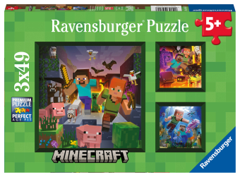 Minecraft Biomes