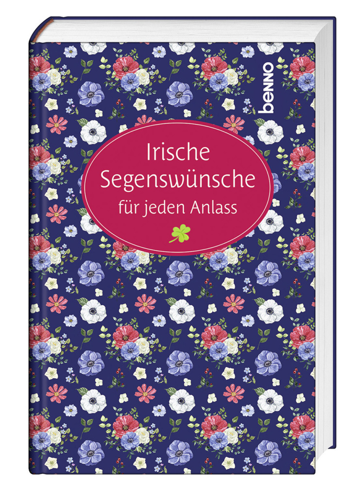 Irische Segenswünsche für jeden Anlass main product photo