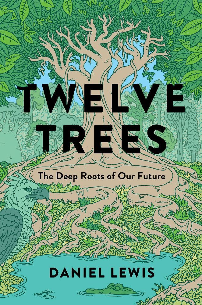 Twelve Trees main product photo