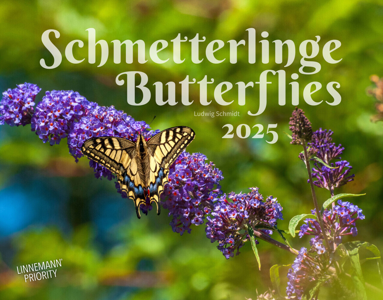 Schmetterlinge 2025 Großformat-Kalender 58 x 45,5 cm main product photo