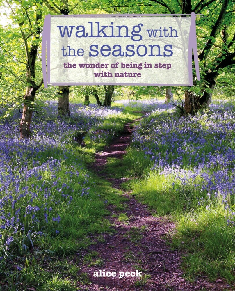 Walking with the Seasons main product photo