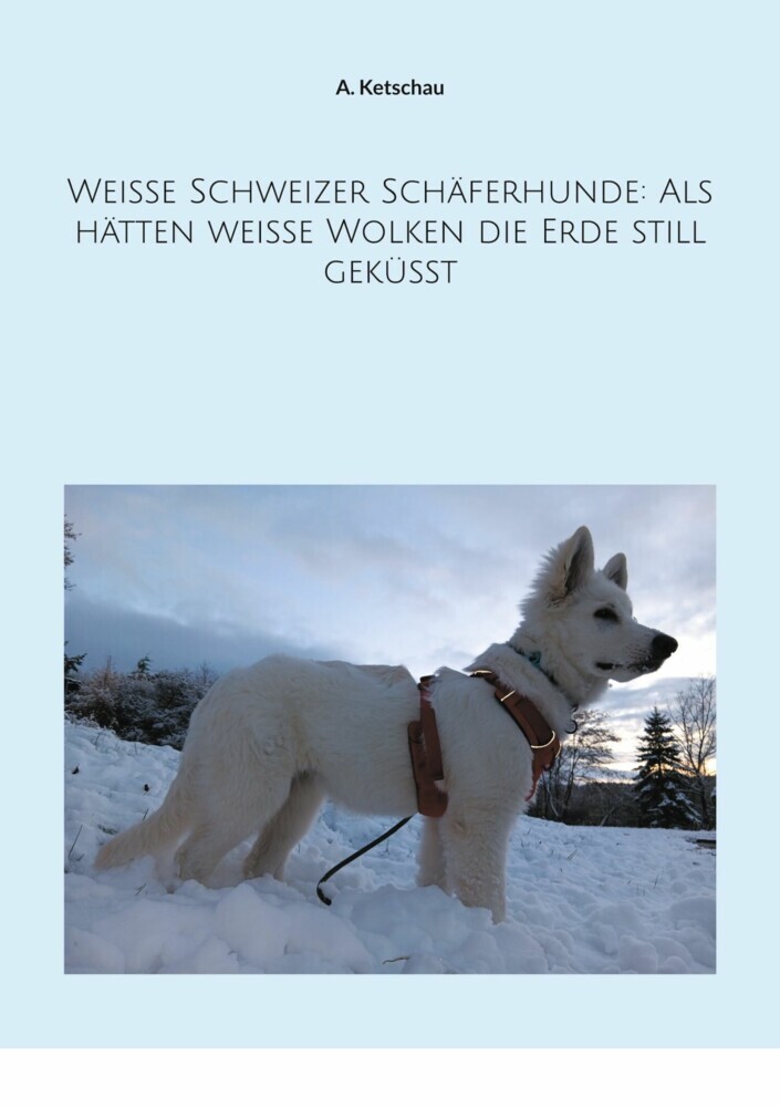 Weiße Schweizer Schäferhunde: Als hätten weiße Wolken die Erde still geküsst main product photo