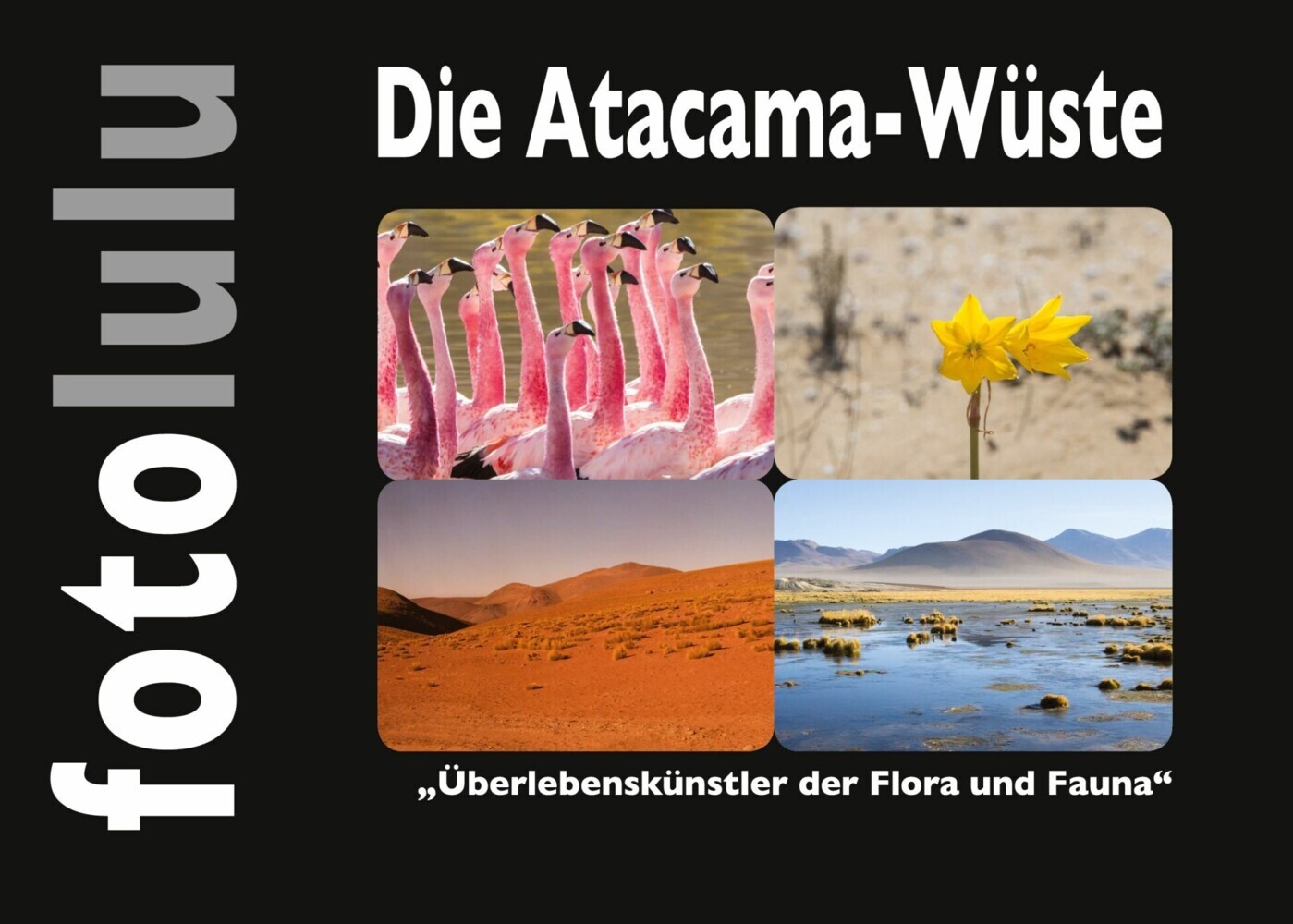Die Atacama-Wüste main product photo
