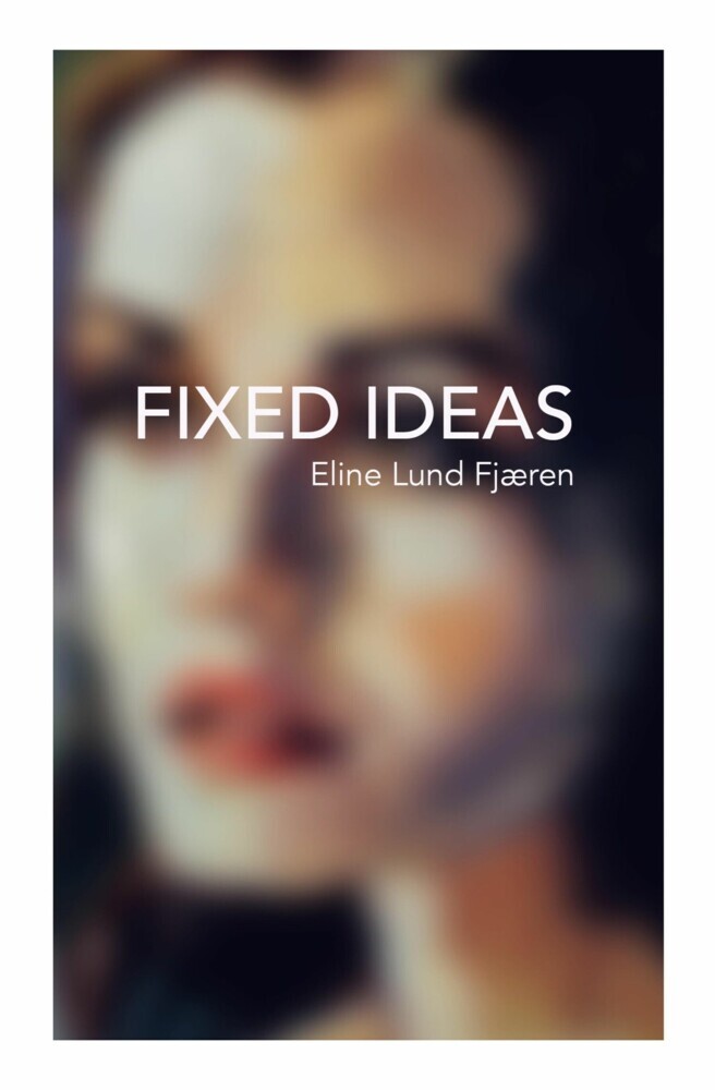 Fixed Ideas main product photo