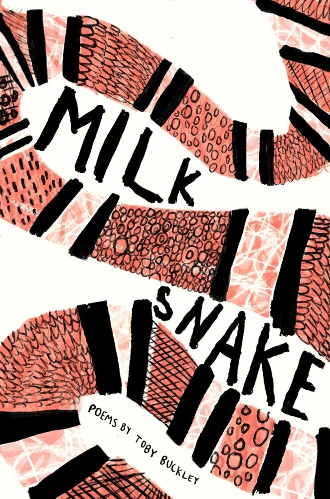 Milk Snake main product photo