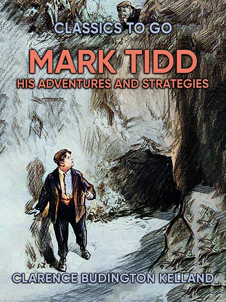 Mark Tidd: His Adventures And Strategies main product photo