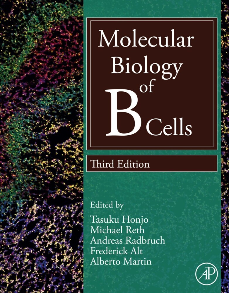 Molecular Biology of B Cells main product photo