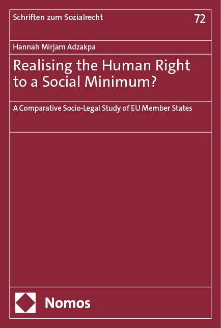 Realising the Human Right to a Social Minimum? main product photo