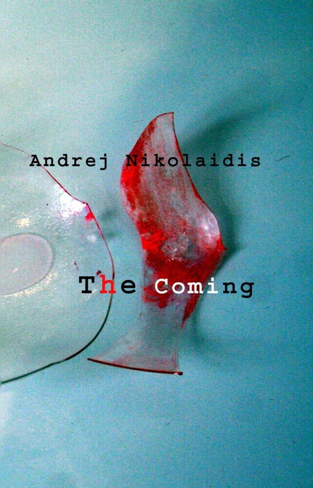 The Coming main product photo