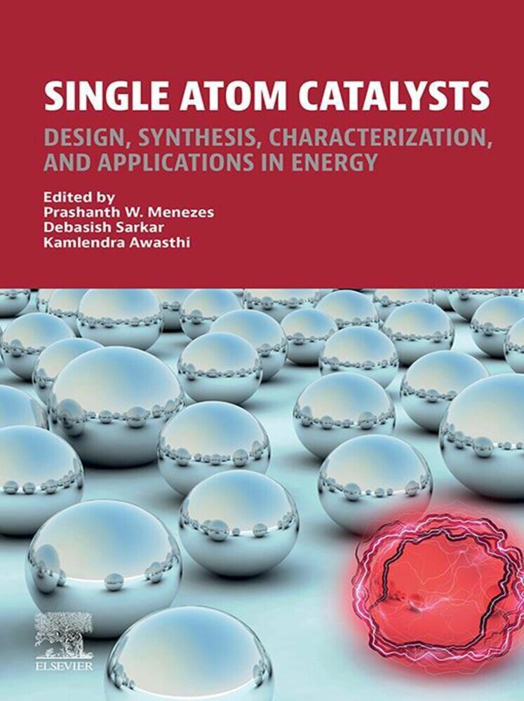 Single Atom Catalysts main product photo