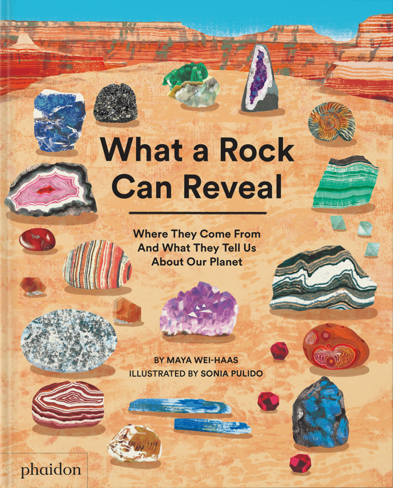 What a Rock Can Reveal main product photo