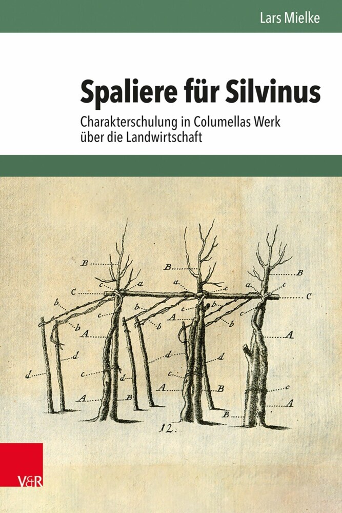 Spaliere für Silvinus main product photo