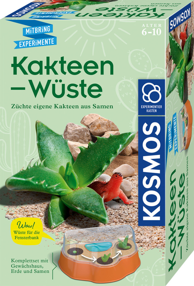 Kakteen-Wüste main product photo