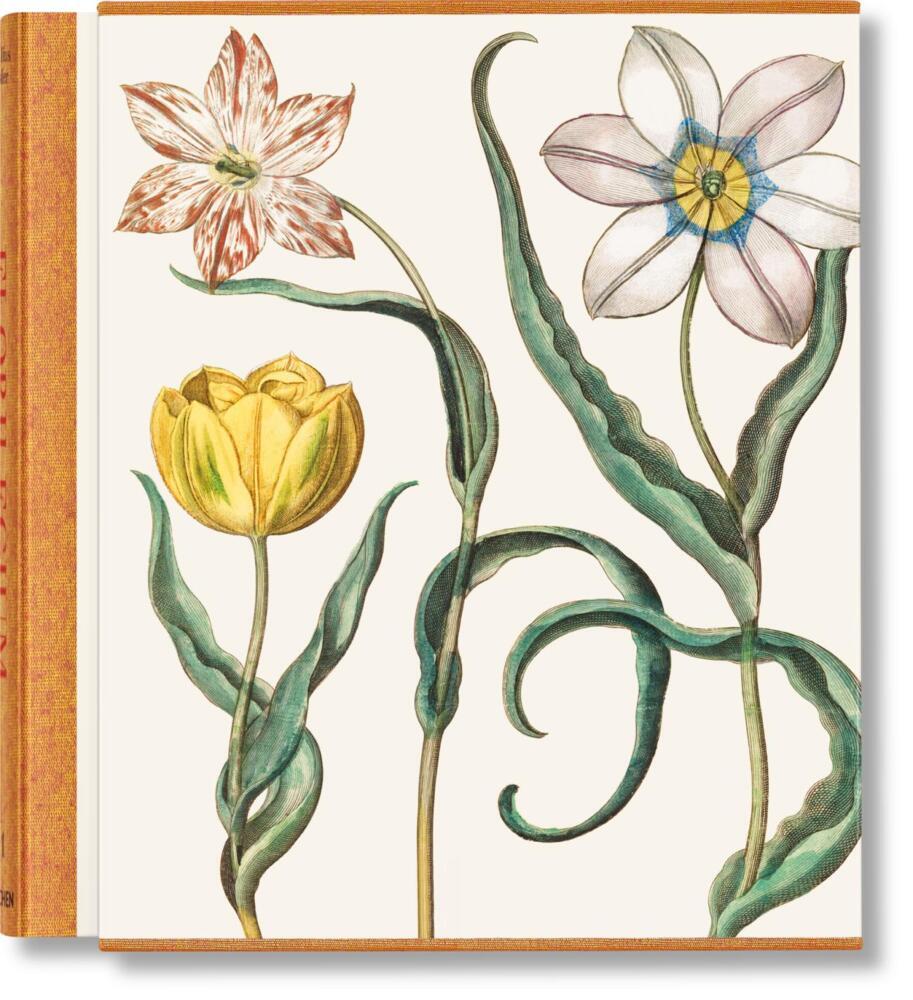 Basilius Besler. The Garden at Eichstätt main product photo