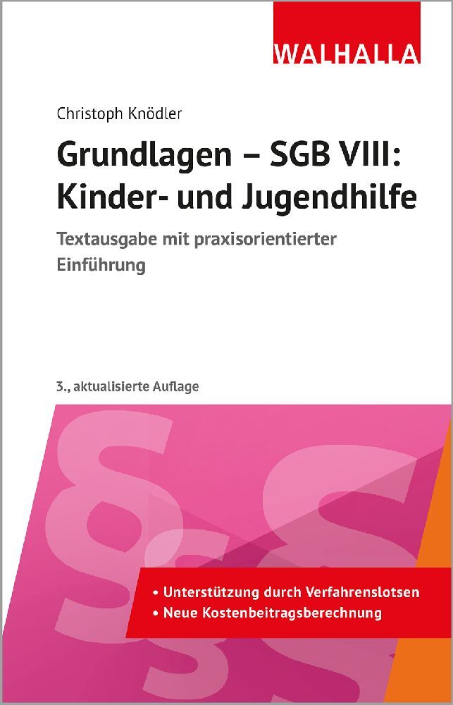 Grundlagen - SGB VIII: Kinder- und Jugendhilfe main product photo
