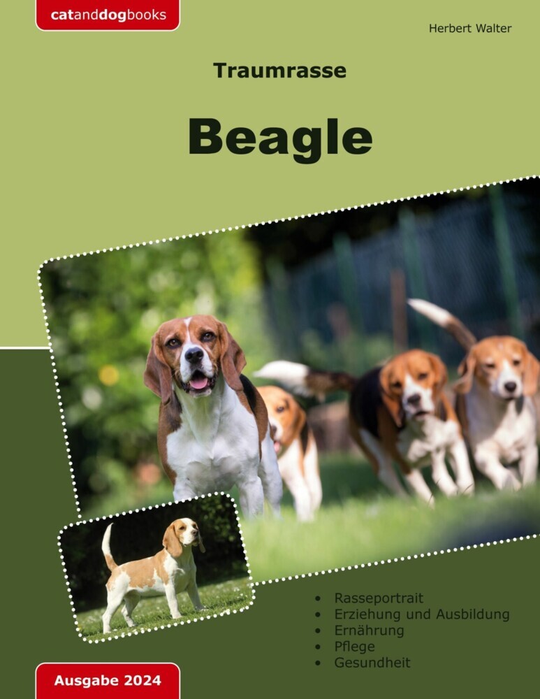 Traumrasse: Beagle main product photo