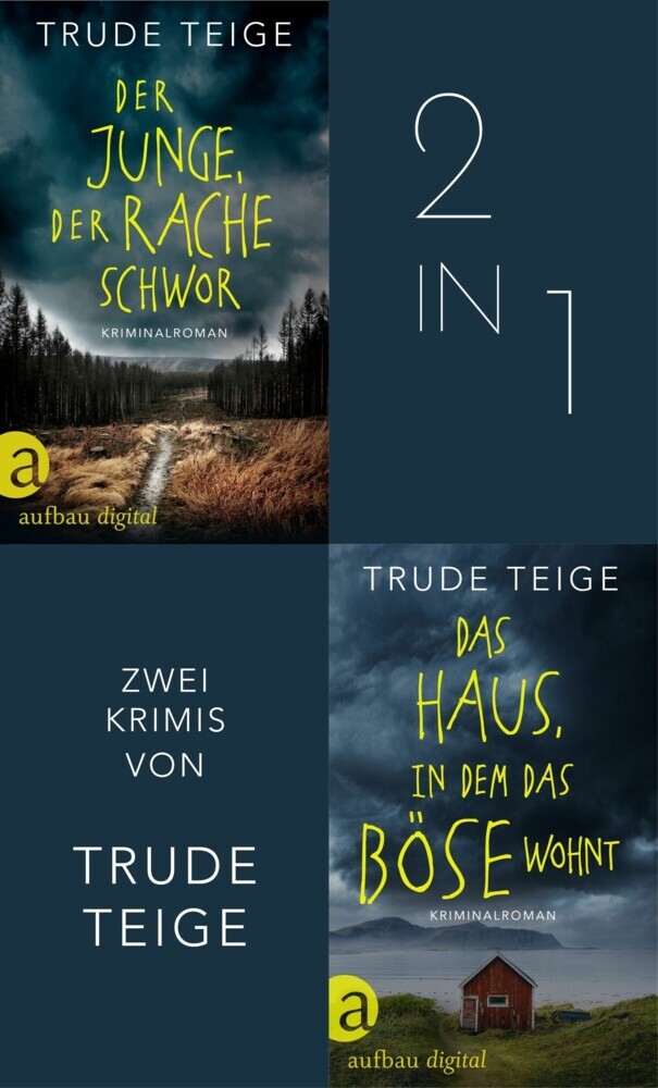 Der Junge, der Rache schwor & Das Haus, in dem das Böse wohnt main product photo