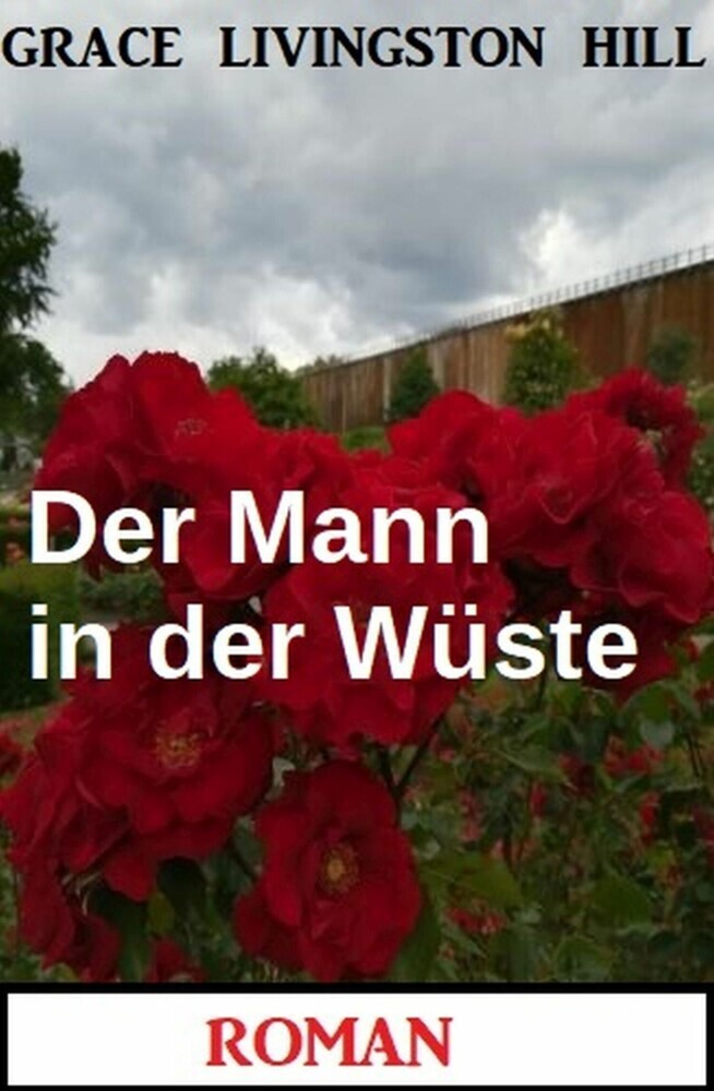 Der Mann in der Wüste: Roman main product photo
